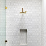 ShowerClear Brushed Gold Shower Head In Bathroom